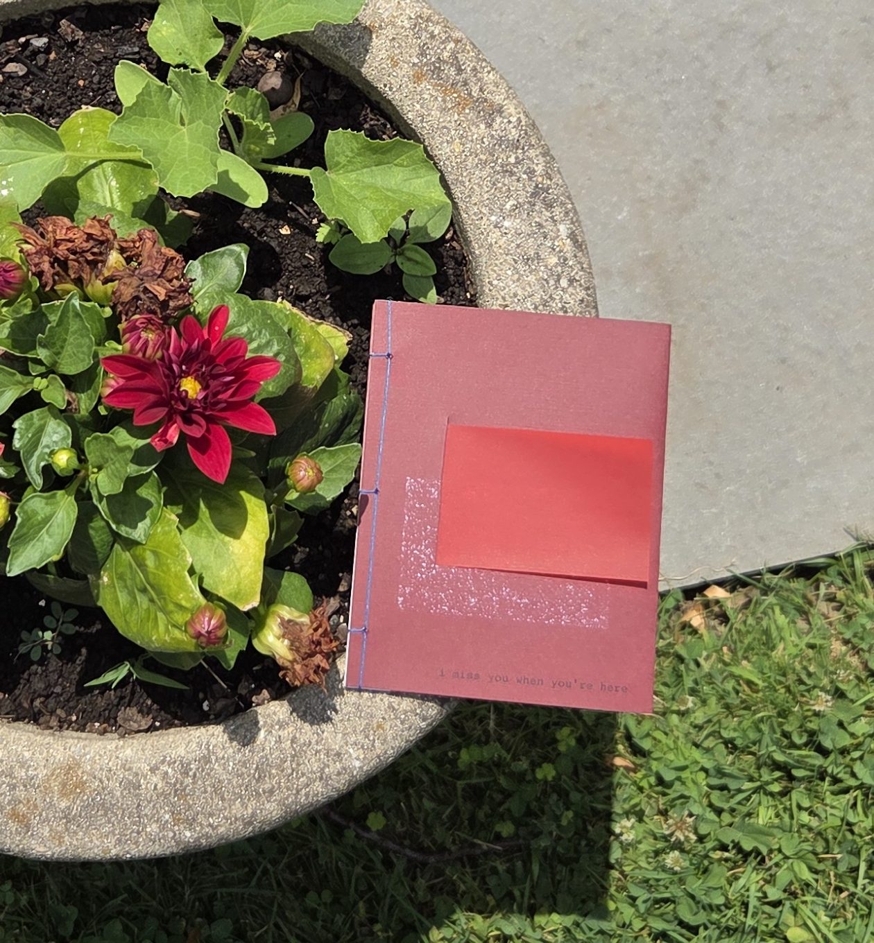 Red Book 2